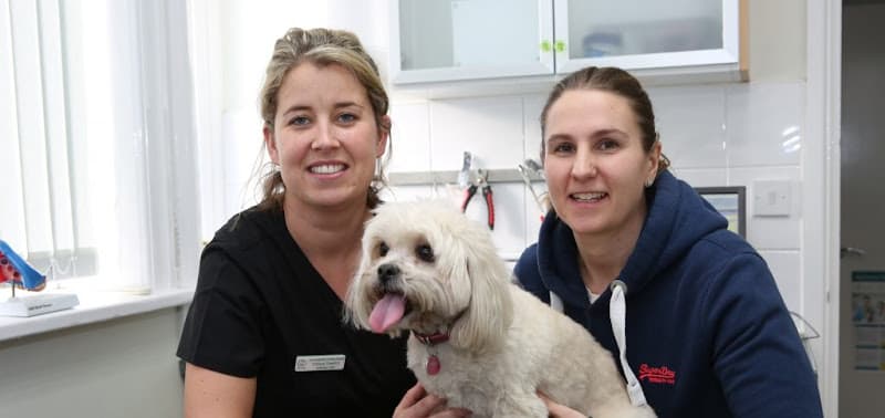 Business listing image