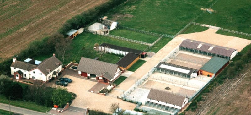 Business listing image