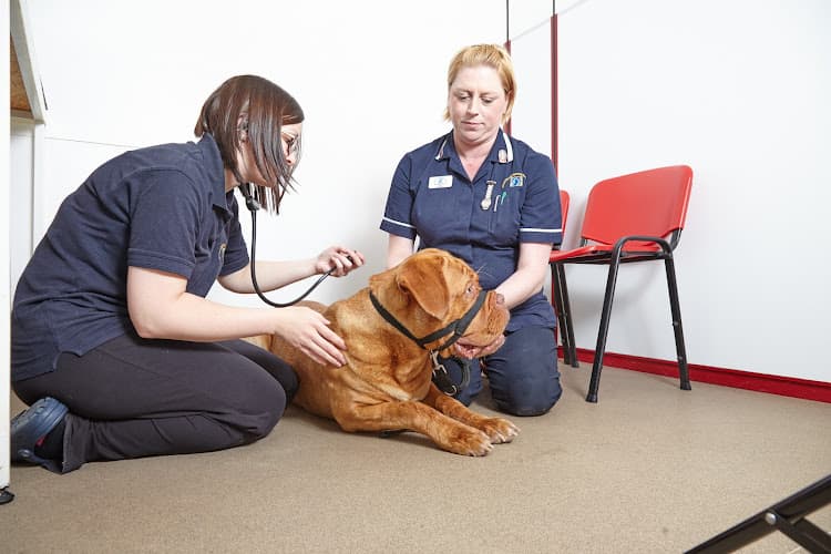 Business listing image