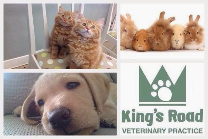 Business listing image