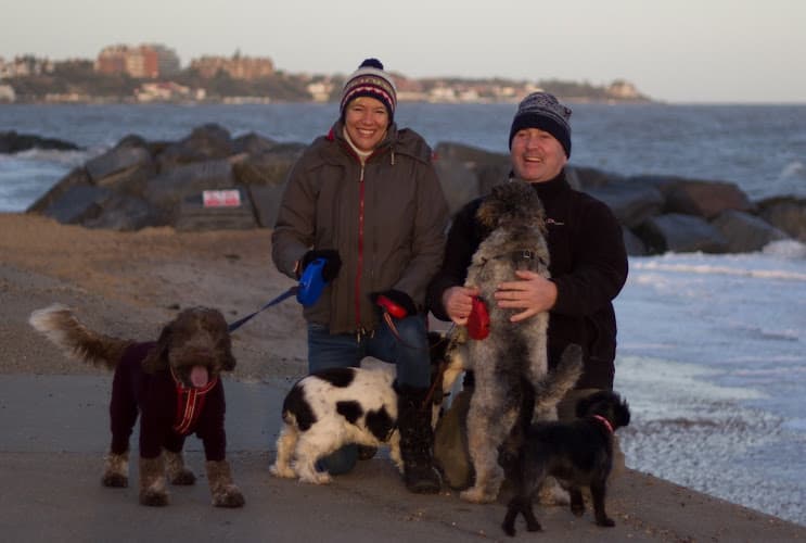 Business listing image