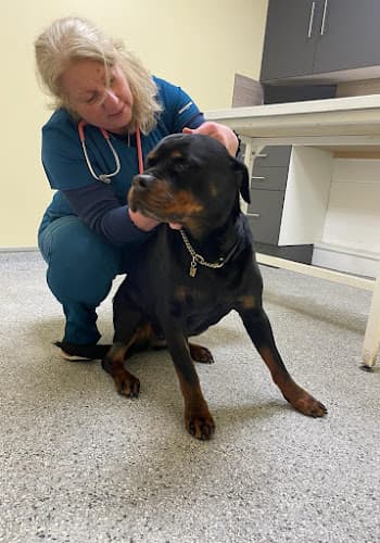 Business listing image