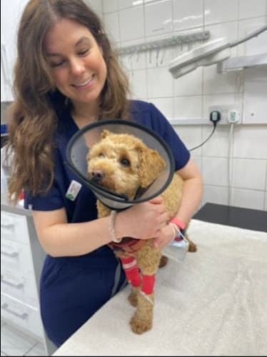 Business listing image