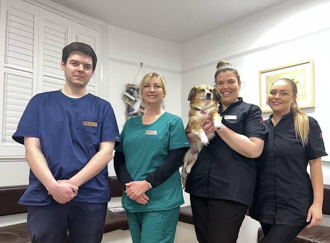 Business listing image