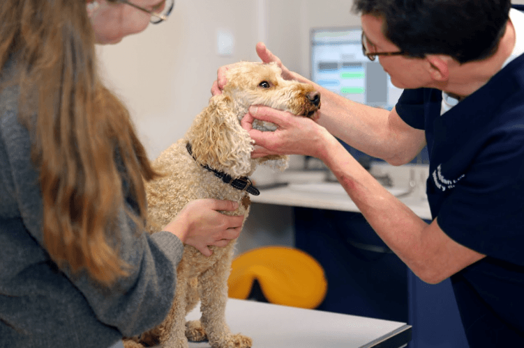 Business listing image