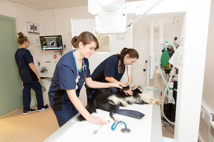 Business listing image