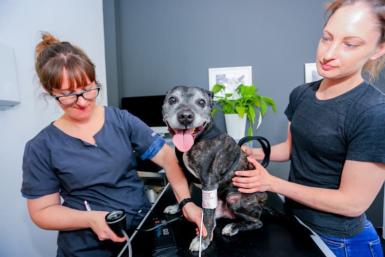 Business listing image