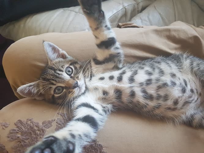 Business listing image