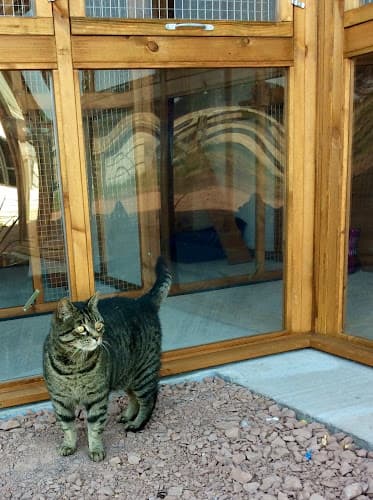 Business listing image