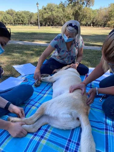 Business listing image