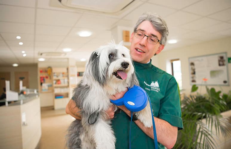 Business listing image