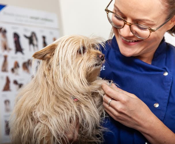 Business listing image