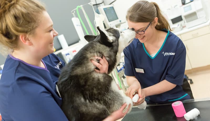 Business listing image