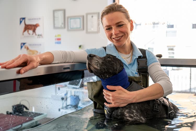 Business listing image