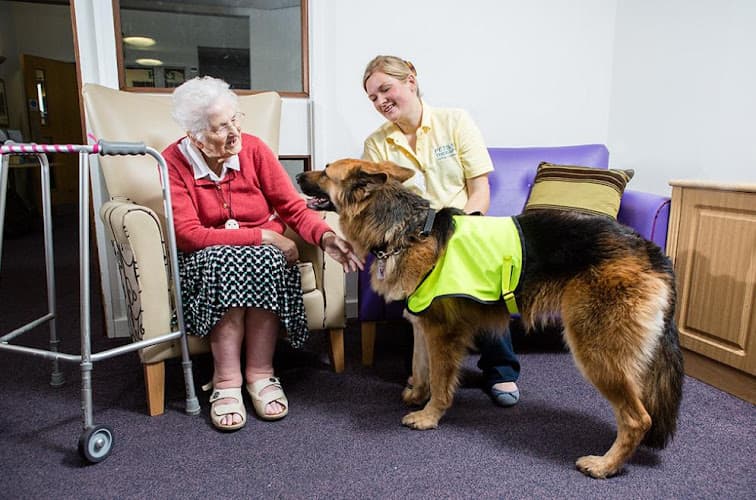 Business listing image