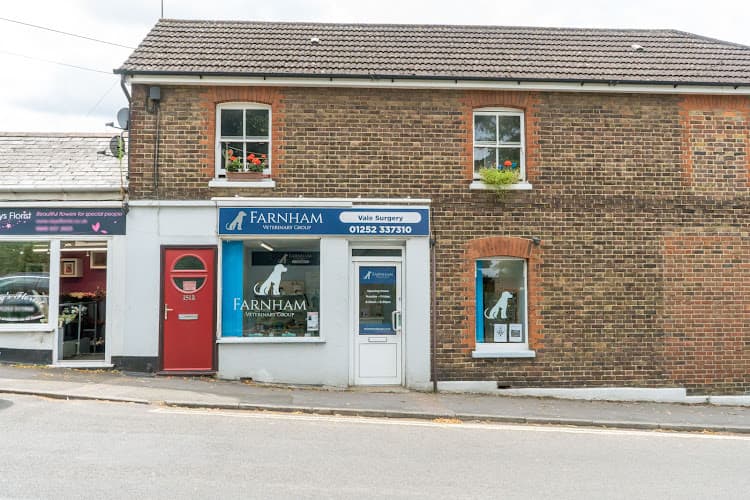 Business listing image