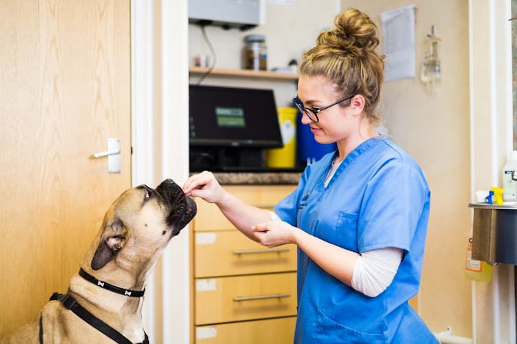 Business listing image