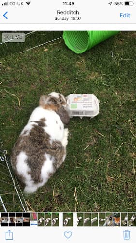 Business listing image