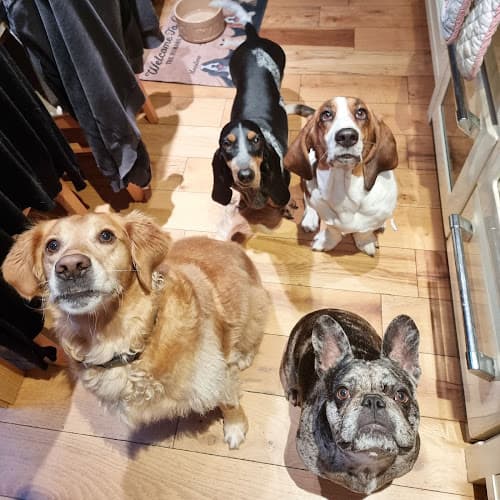 Business listing image