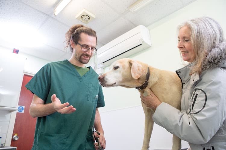 Business listing image