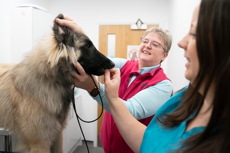 Business listing image