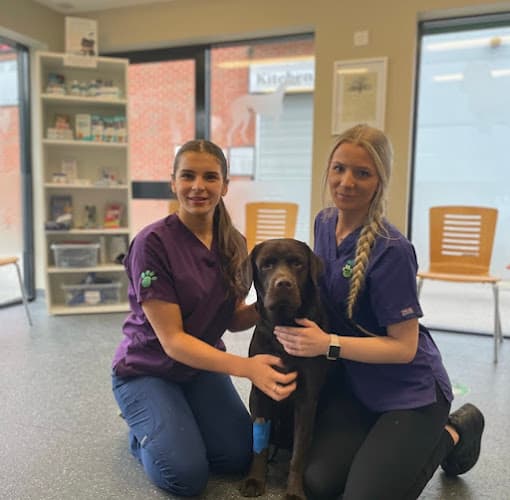 Business listing image