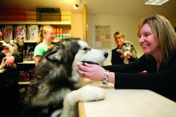 Business listing image