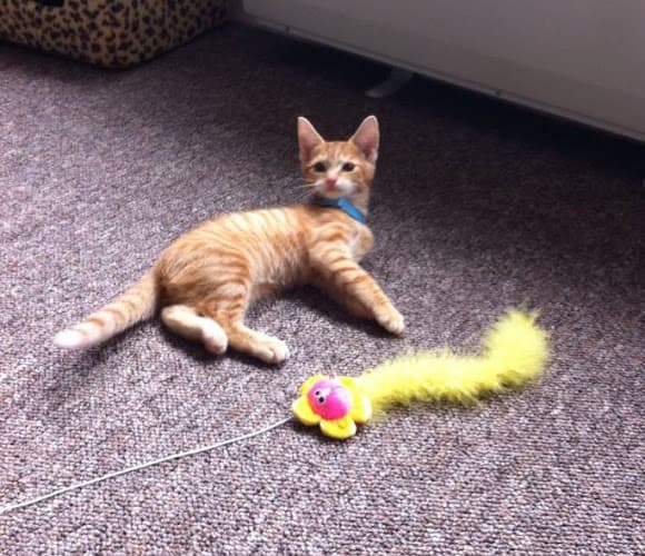 Business listing image