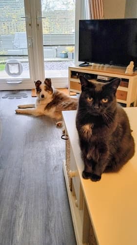 Business listing image