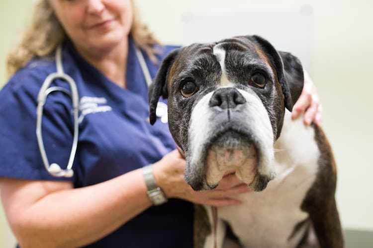 Business listing image