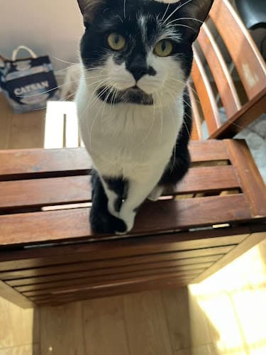 Business listing image