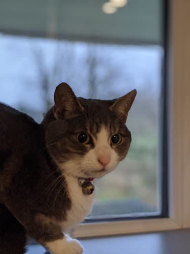 Business listing image