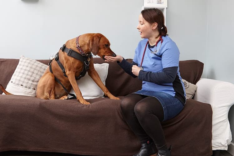 Business listing image