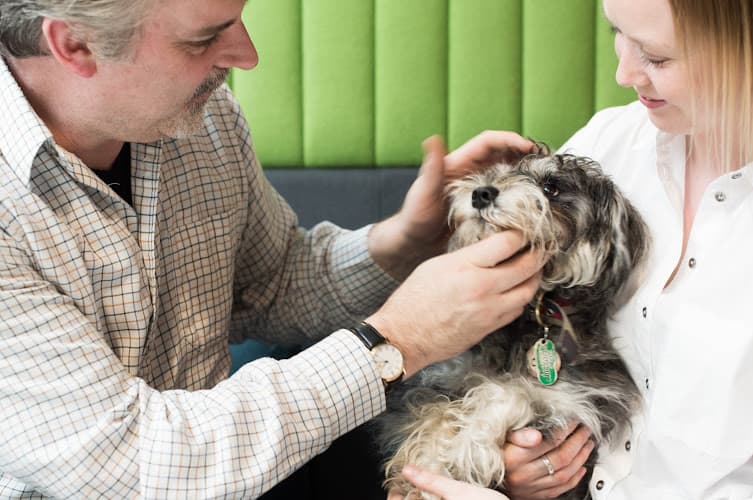 Business listing image