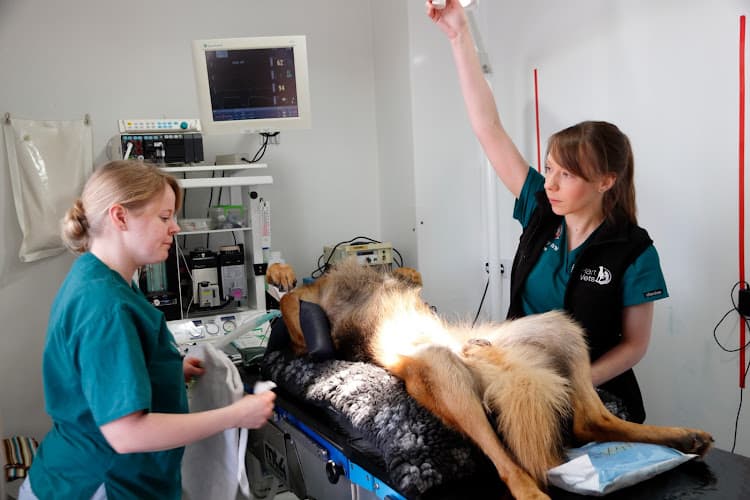 Business listing image