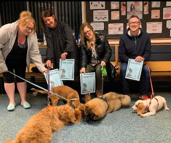 Business listing image