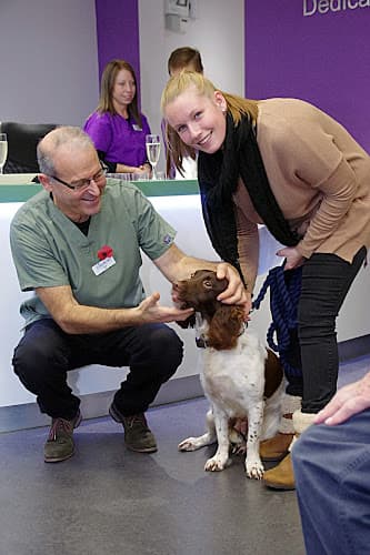 Business listing image