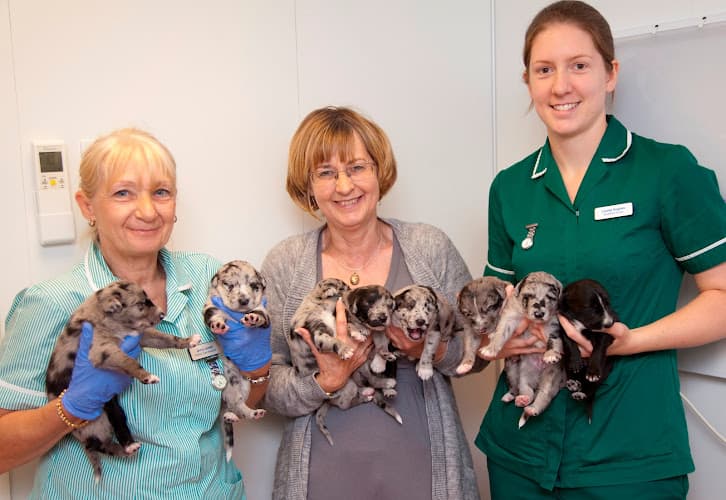 Business listing image