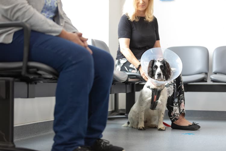 Business listing image