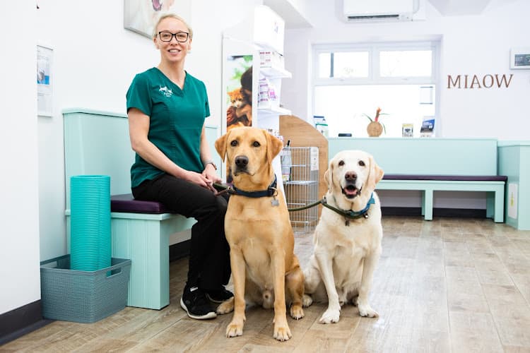 Business listing image