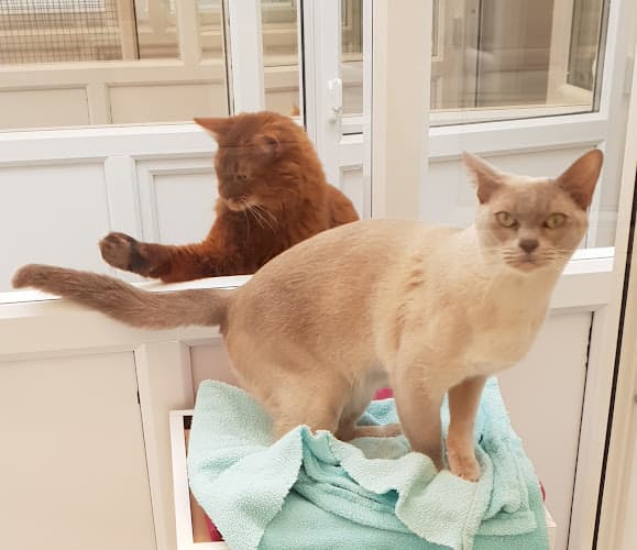 Business listing image