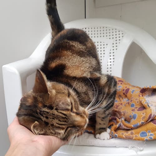 Business listing image