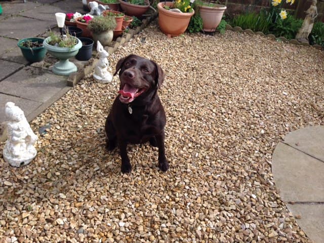 Business listing image