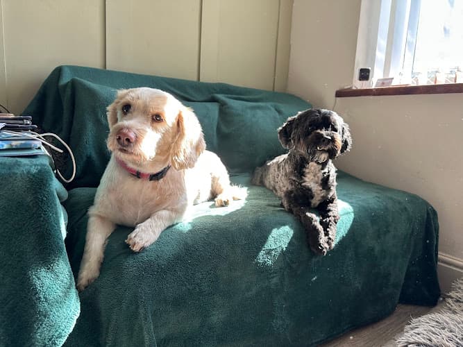 Business listing image