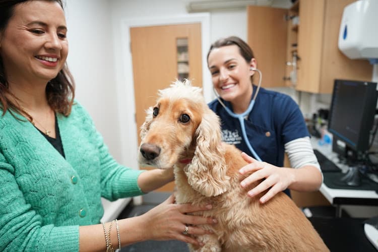 Business listing image