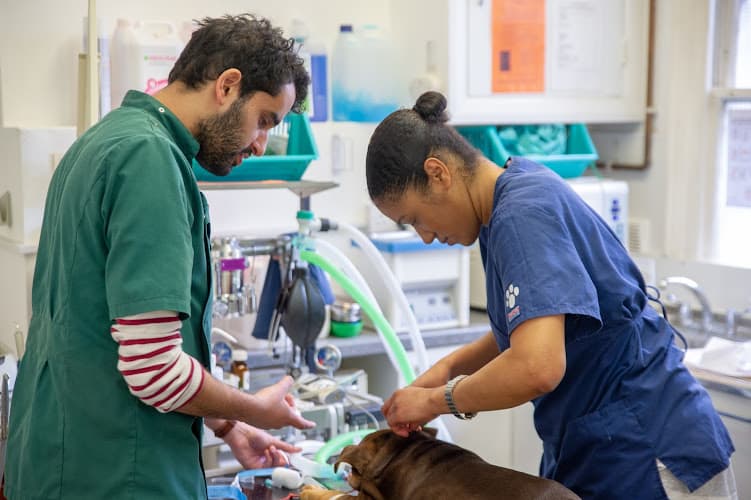 Business listing image