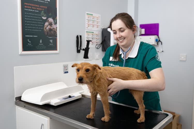 Business listing image