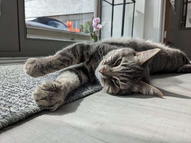 Business listing image