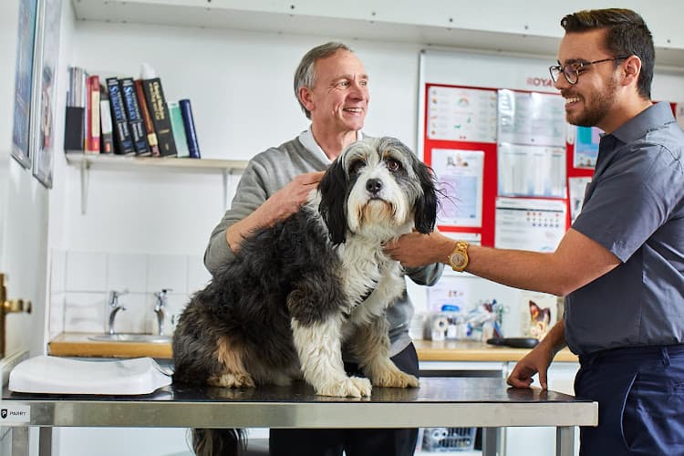 Business listing image