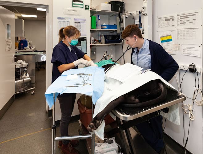 Business listing image